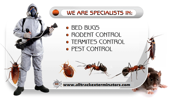 All Track Exterminators business image in Pasadena, California
