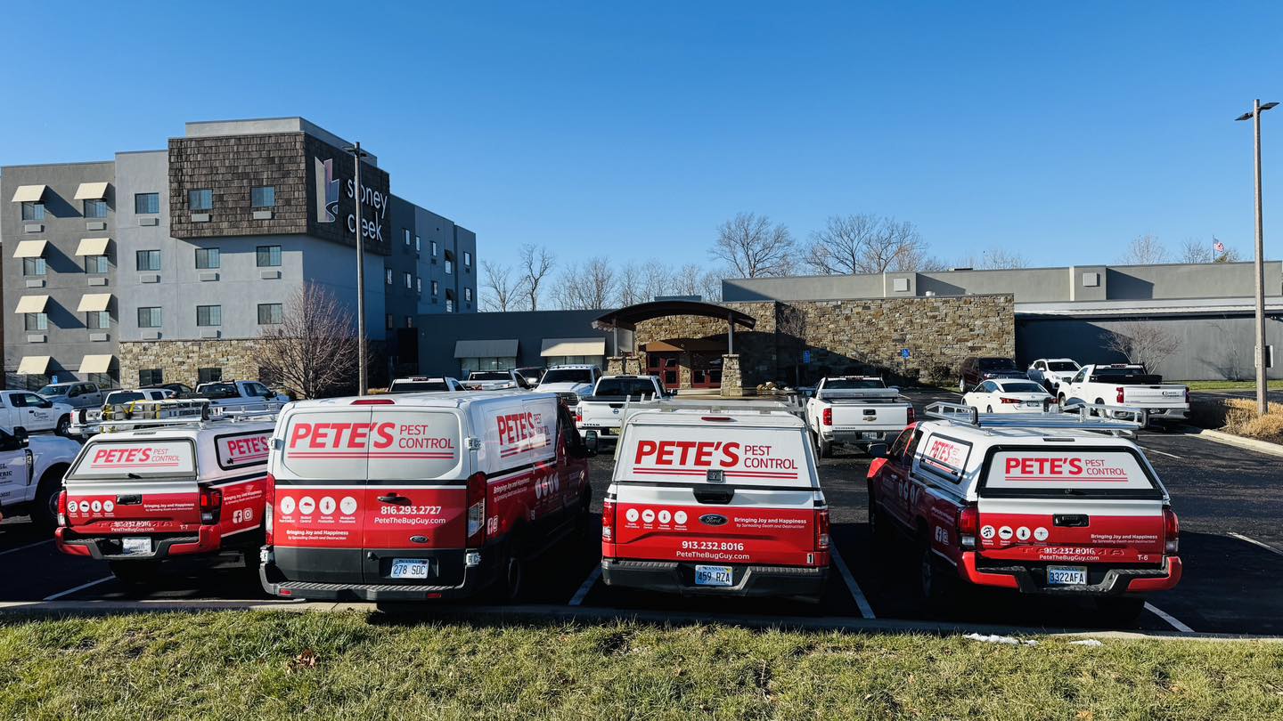 Pete's Pest Control - Saint Joseph, MO business image in Saint Joseph, MO